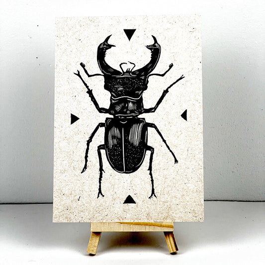 Stag Beetle (triptych)