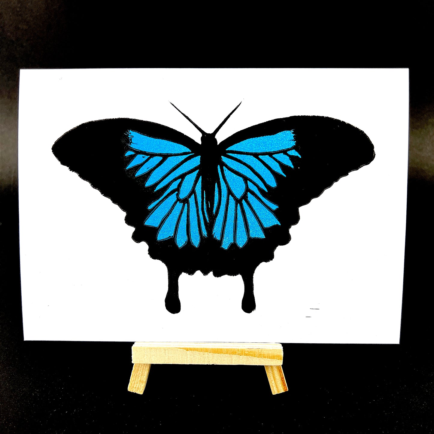 Ulysses Butterfly