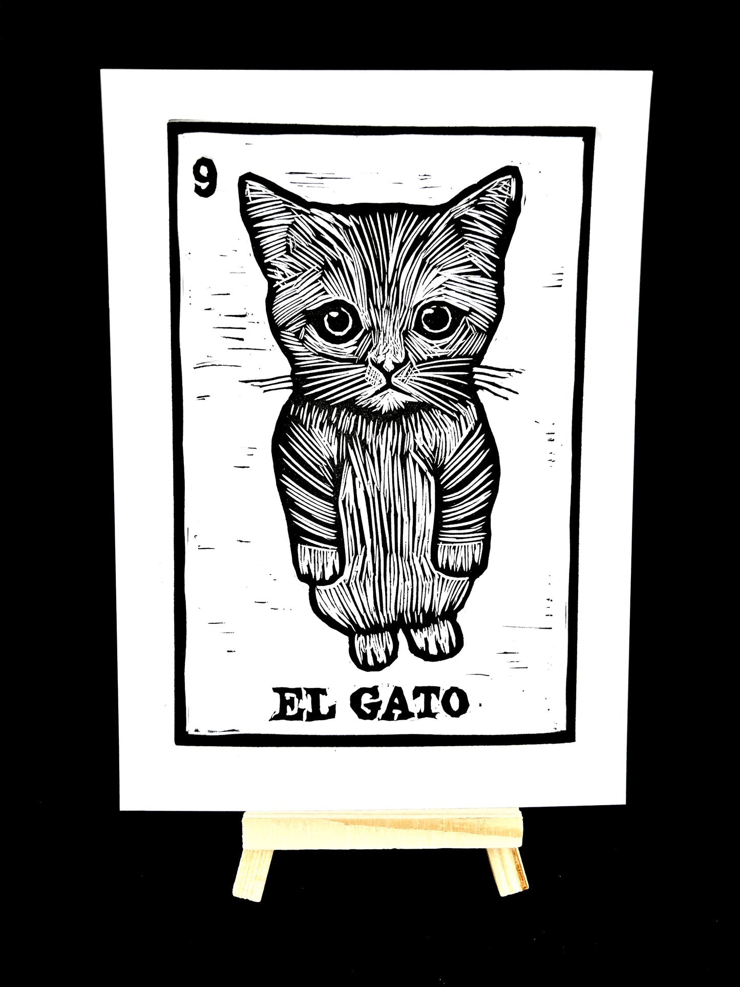 El Gato - Cute but Sad Munchkin Kitty