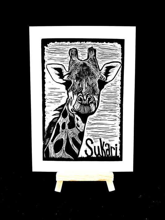 Sukari the Giraffe