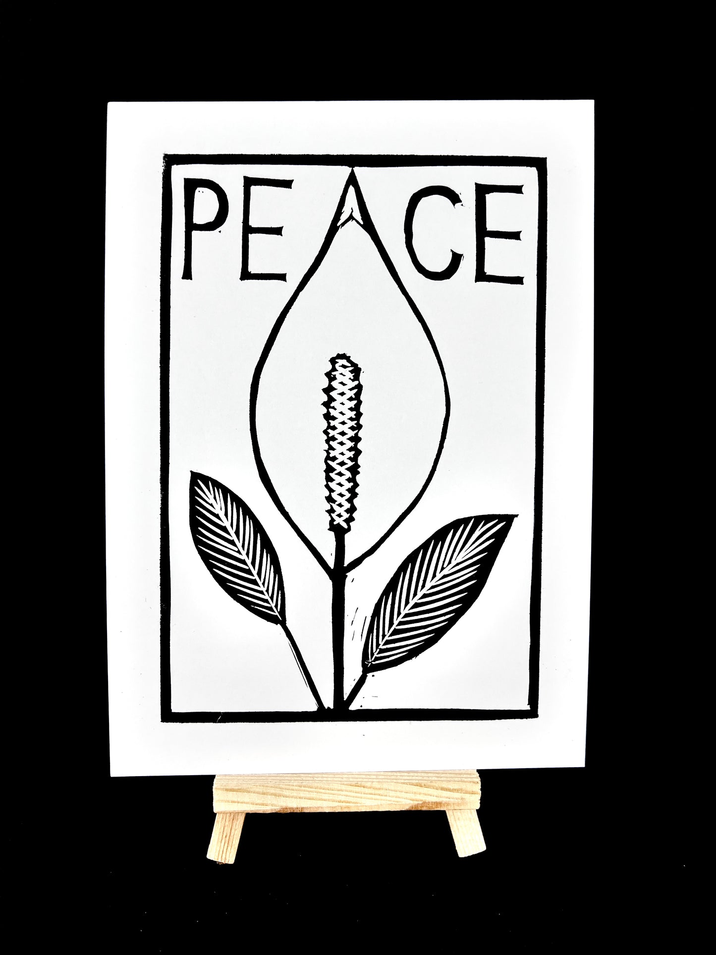 Peace Lily