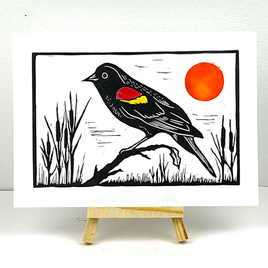 Red-winged Blackbird